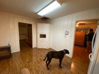Delk Renovation