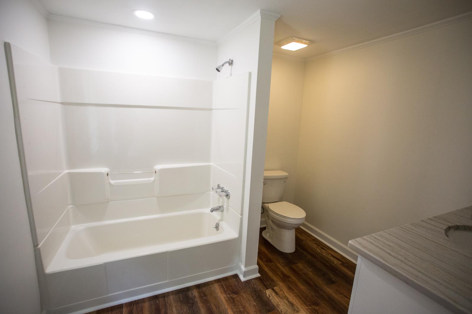 Delk Renovation