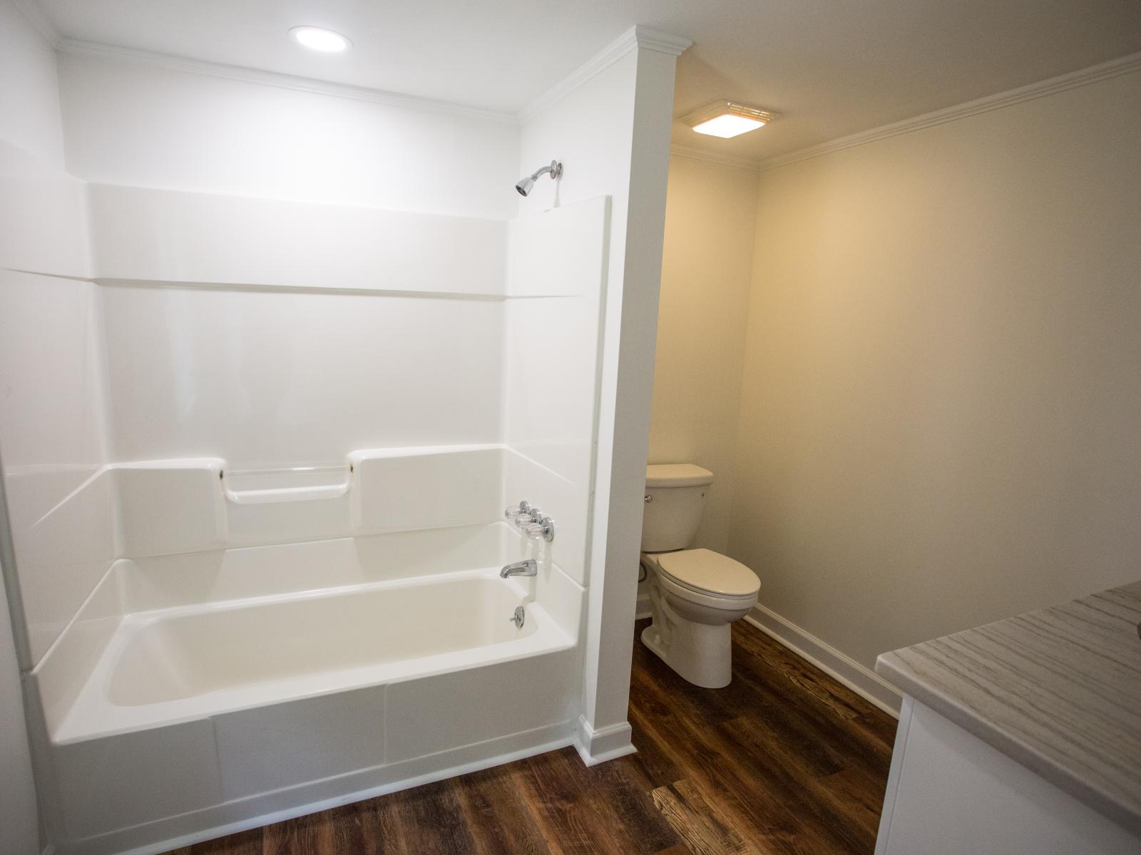 Delk Renovation